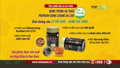 1 Hộp Đông Trùng Hạ Thảo - Premium Dong Chung Ha Cho