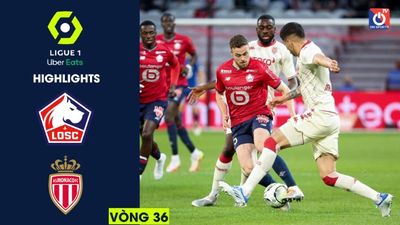 Lille - AS Monaco - V36 - Ligue 1